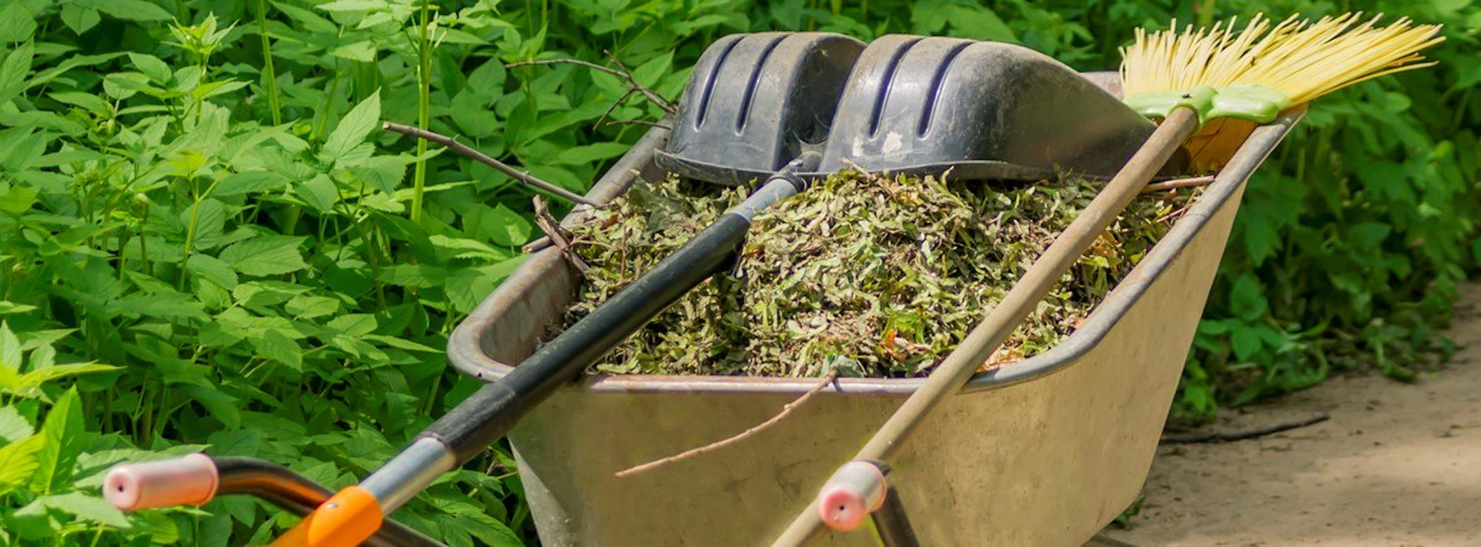 hva kan ugress brukes til