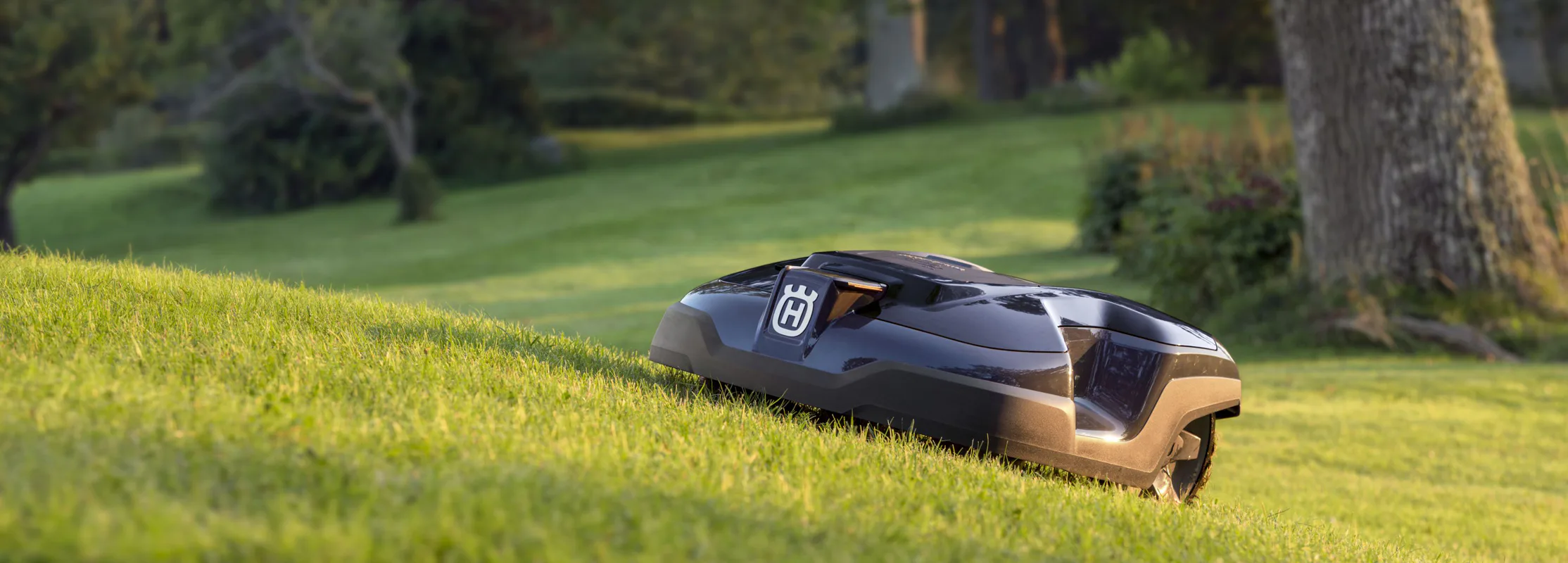 Main image for Husqvarna