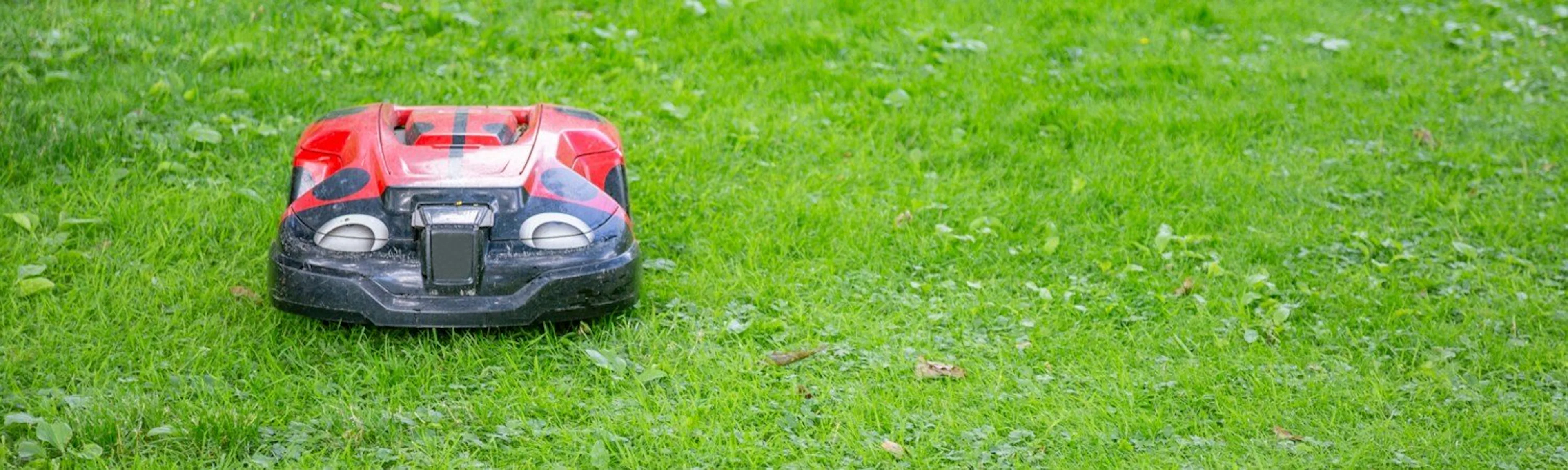 Liten robotgressklipper - 3 populære robotgressklippere for den lille hagen