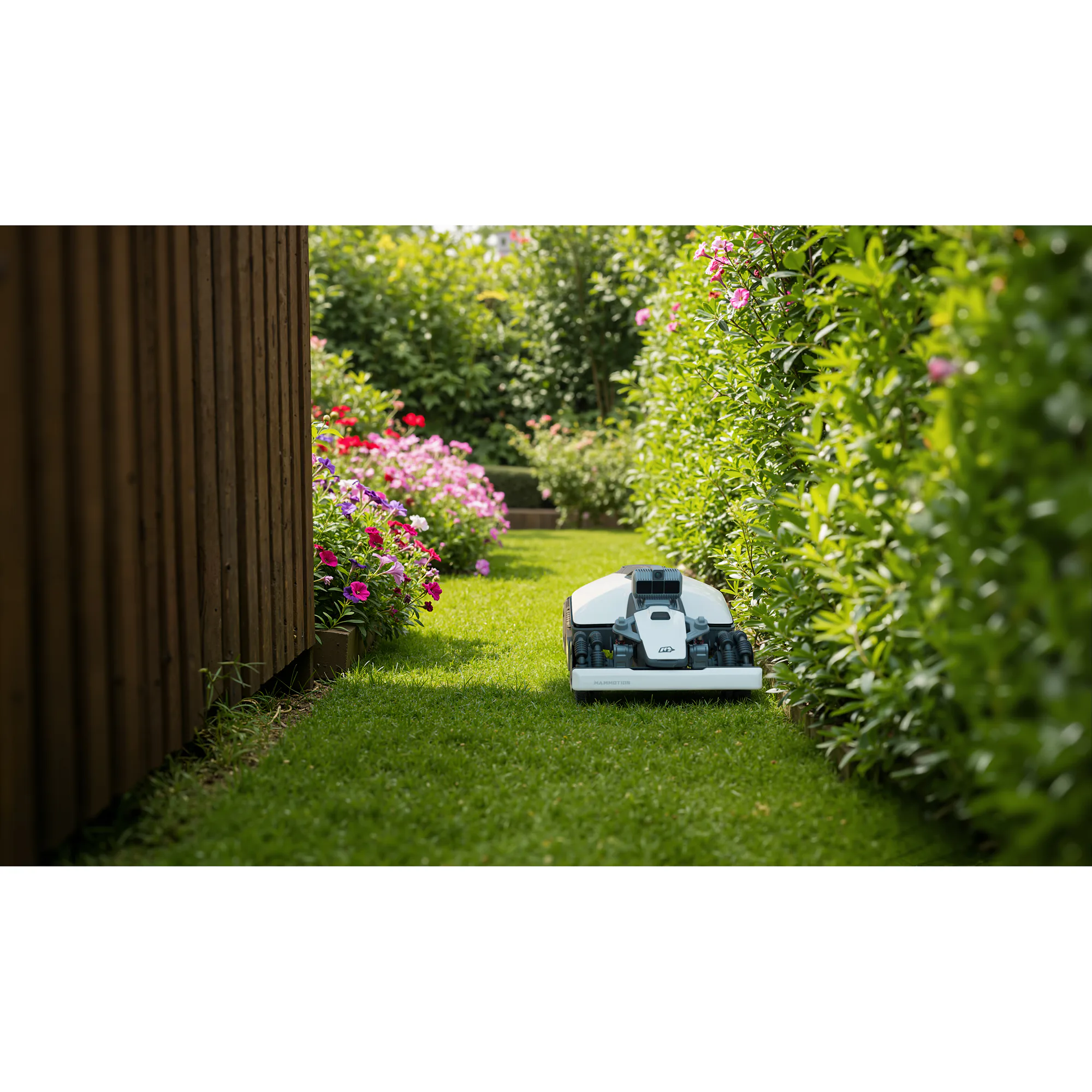 Robotgressklippere uten kantledning – best i test 2026