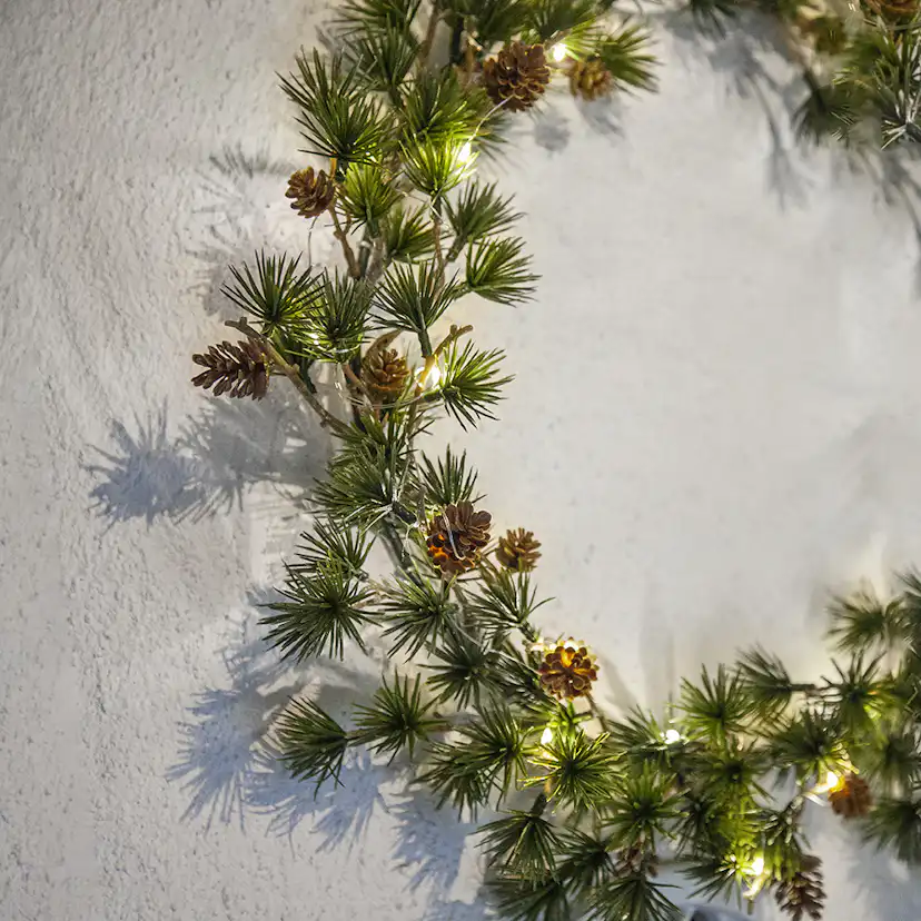 Krans Star Trading Larix