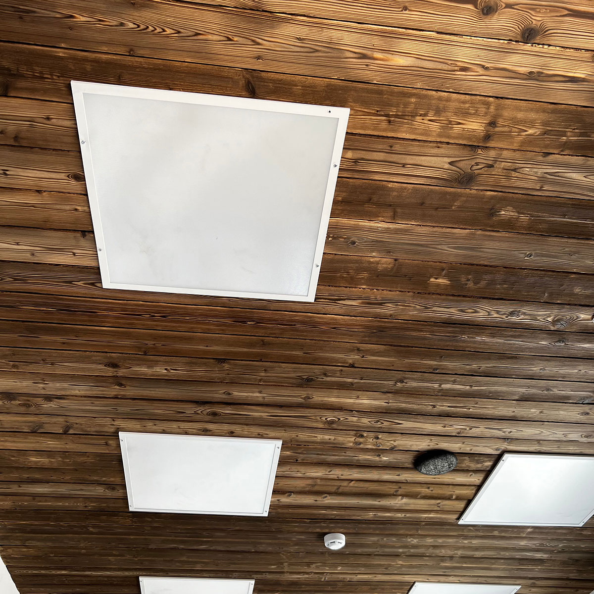 Veggpanel Emotionwood Elegant Pine UYS