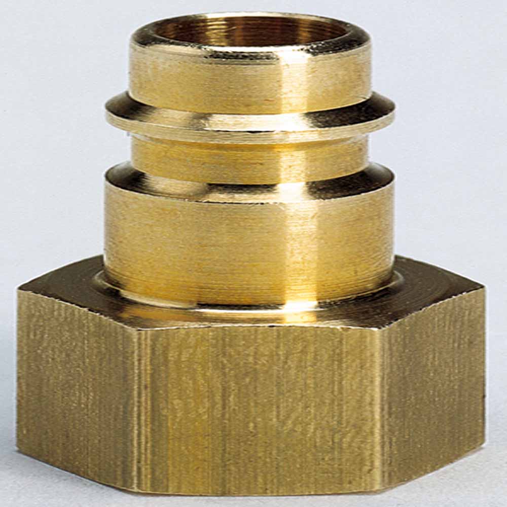 Kobling til trykkluft Einhell  hunn R 1/4&quot Einhell