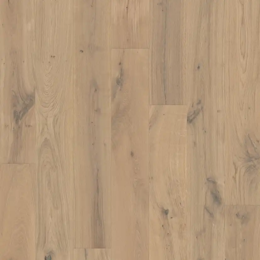 Parkett Pergo Svalbard Sublime Oak