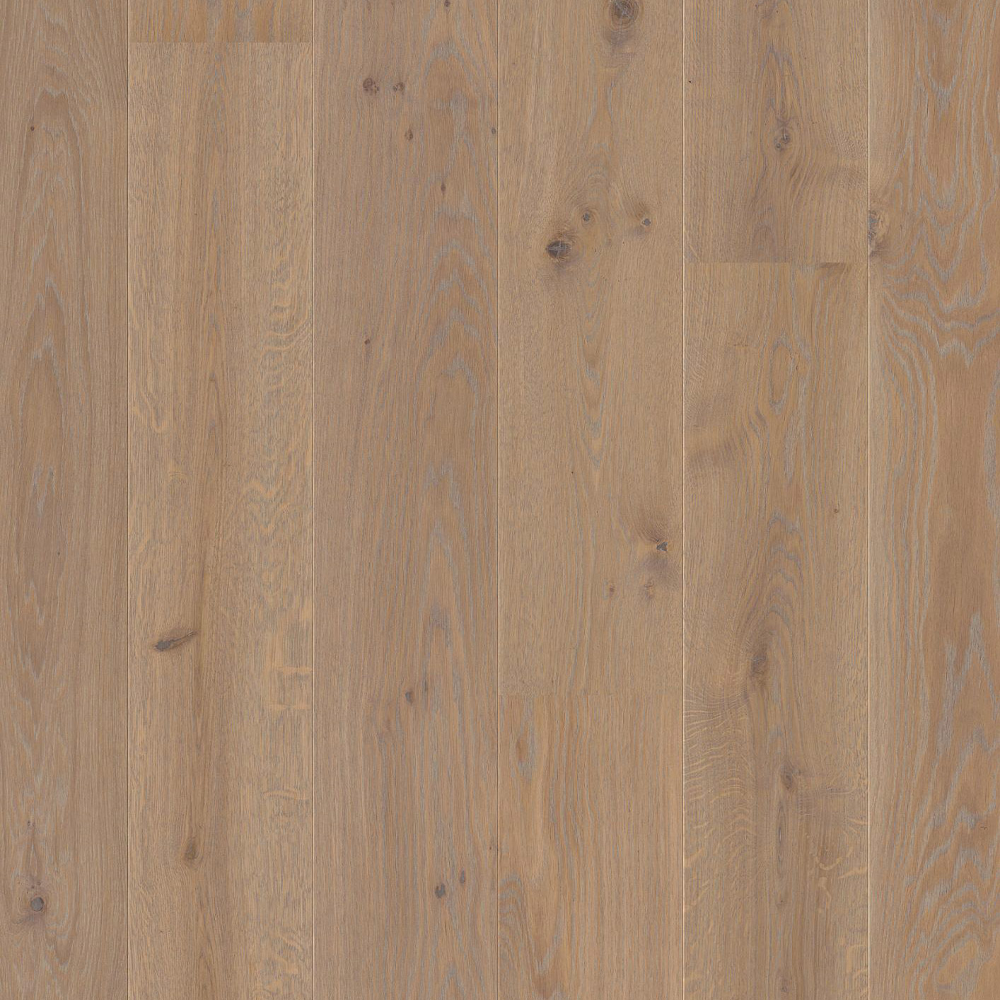 Parkett Boen Eik  Warm Grey Live Pure 1-stav