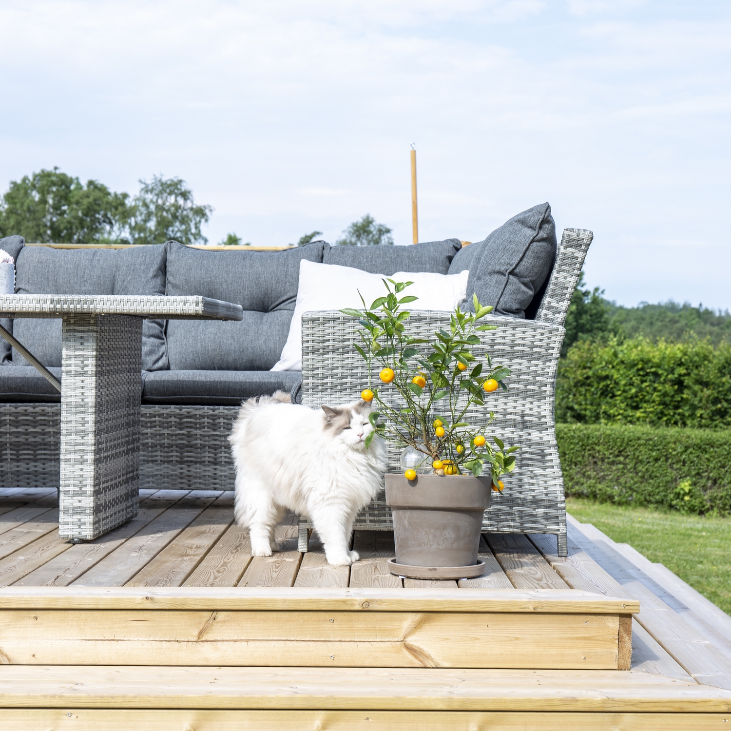 Hjørnesofa Venture Home London Utendørs Utendørs