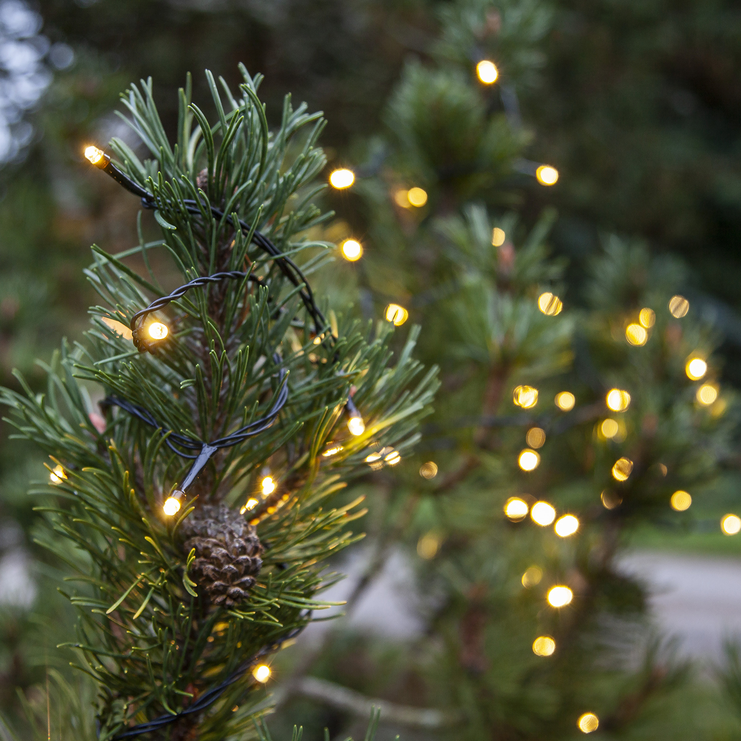 Lyslenke Star Trading Start System Decor 100L