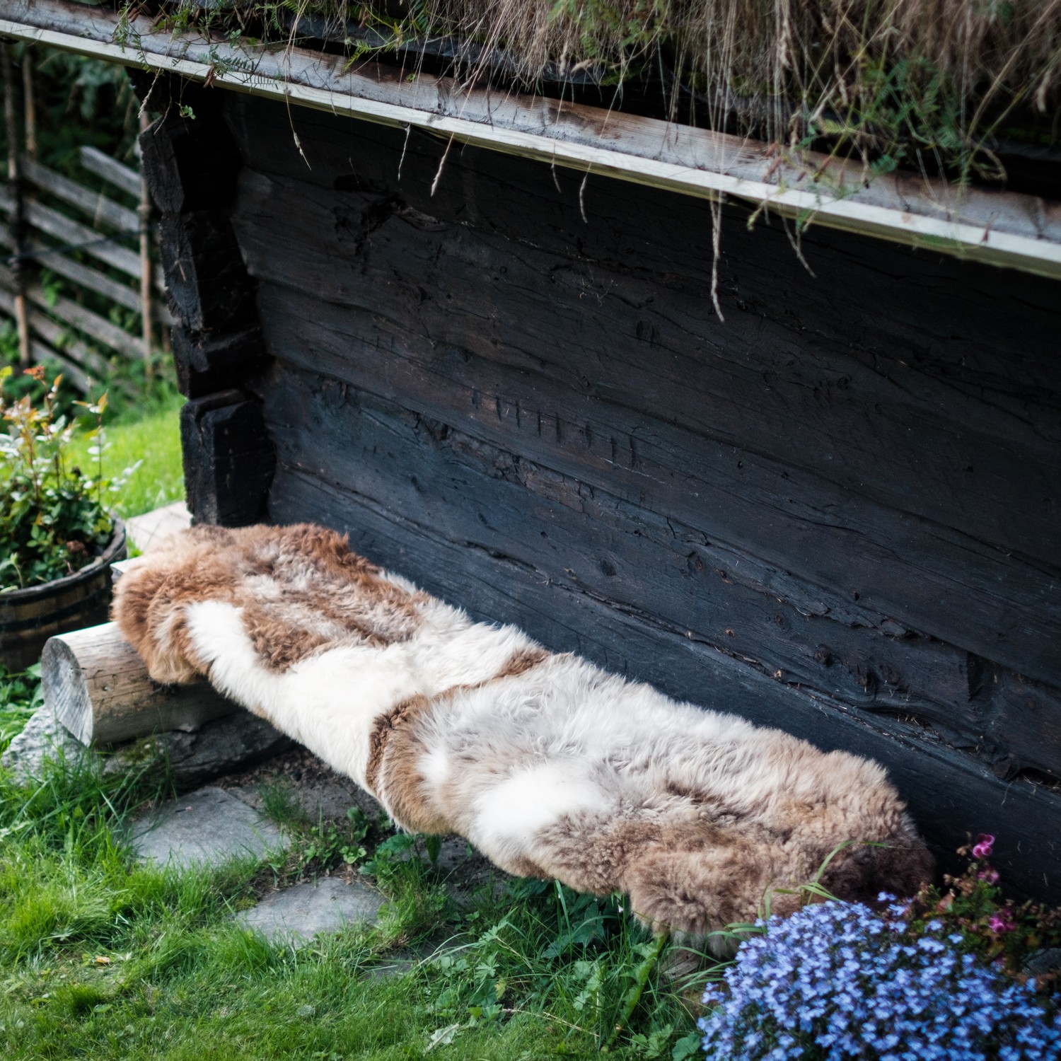 Lammeskinn Espegard Lang