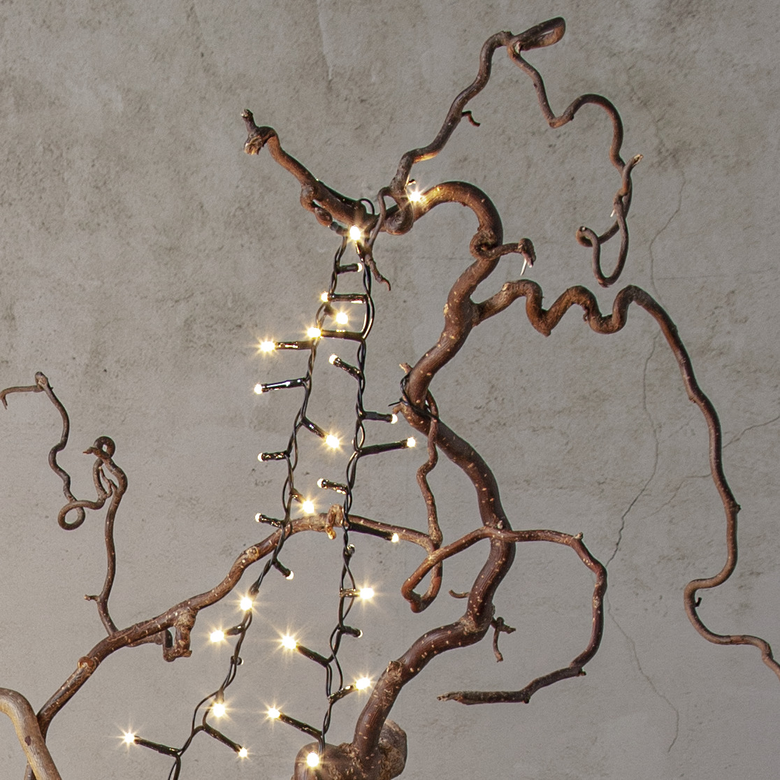 Lyslenke Star Trading Shiny Warm White Utendørs 3 meter 40 LED-Lamper
