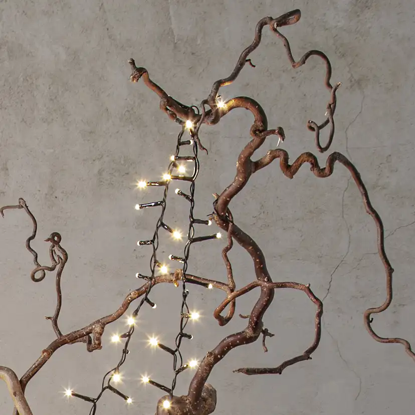 Lyslenke Star Trading Shiny Warm White Utendørs 3 meter 40 LED-Lamper