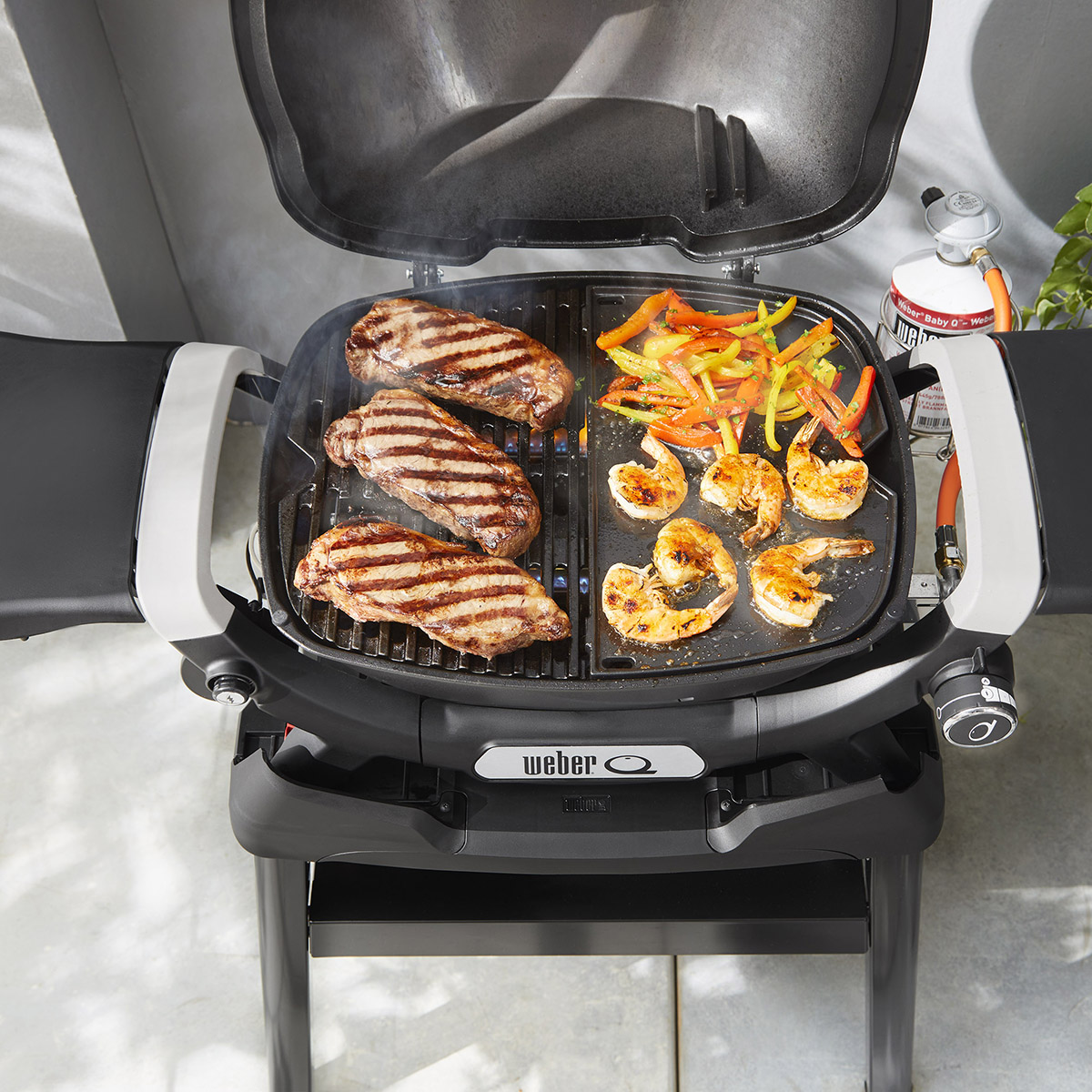 Stekeplate Weber Q1XXXn