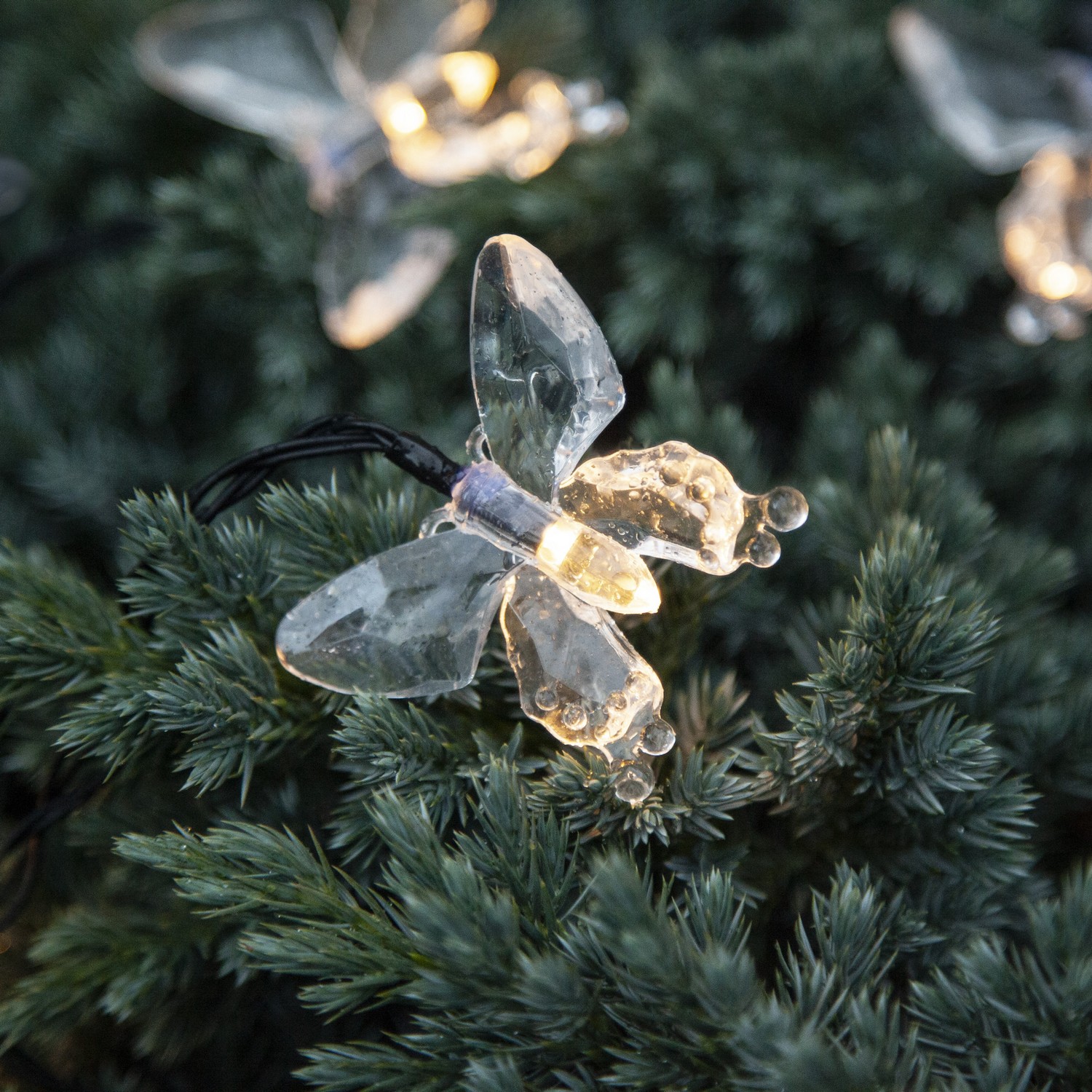 Solcelle-Lyslenke Star Trading Papillon
