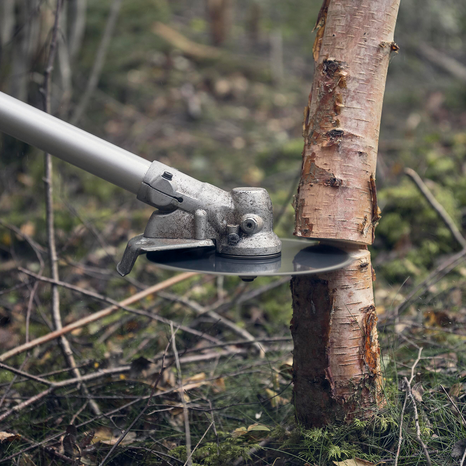 Ryddesag Husqvarna 545F