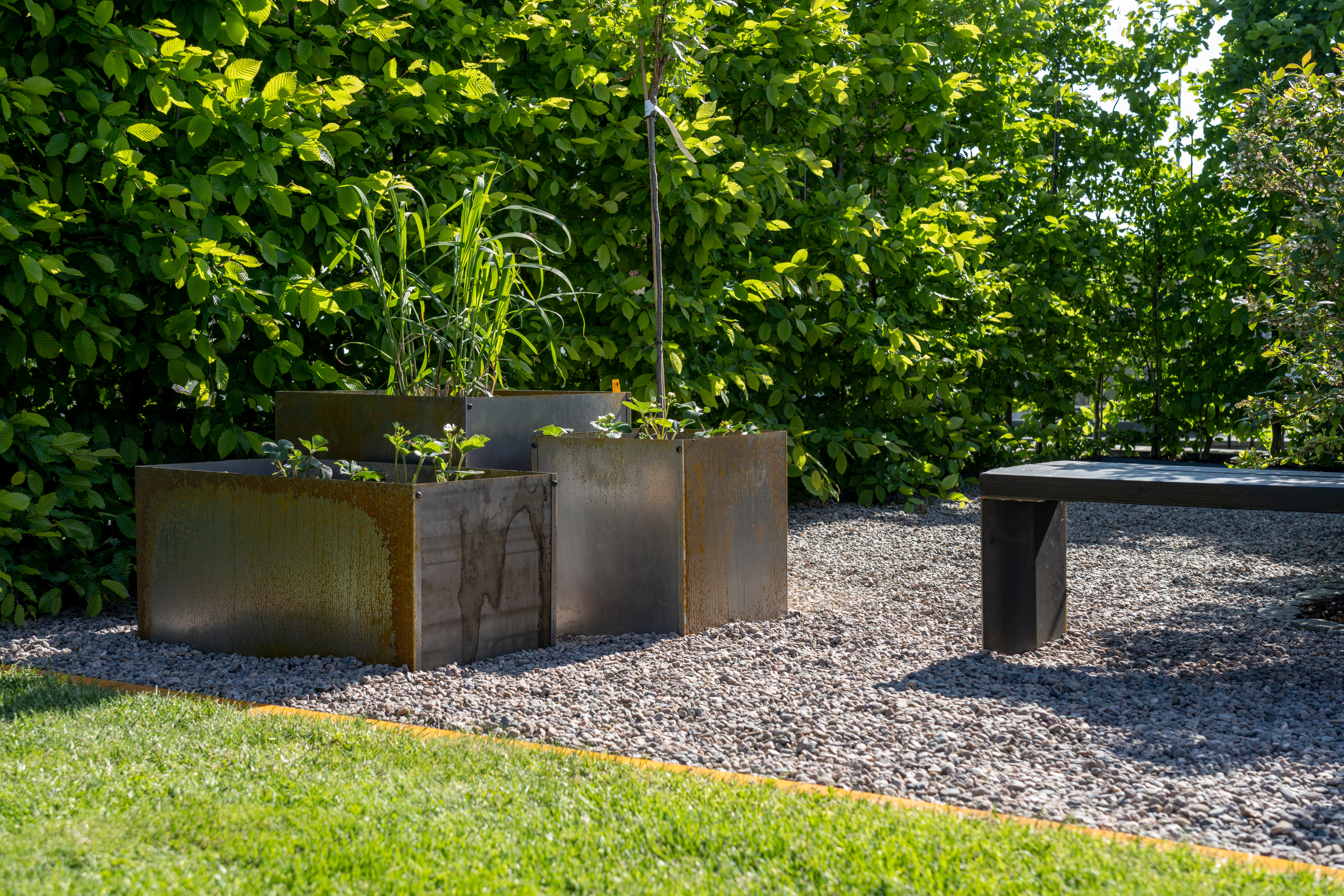 Plantekasse Skotte Garden Corten