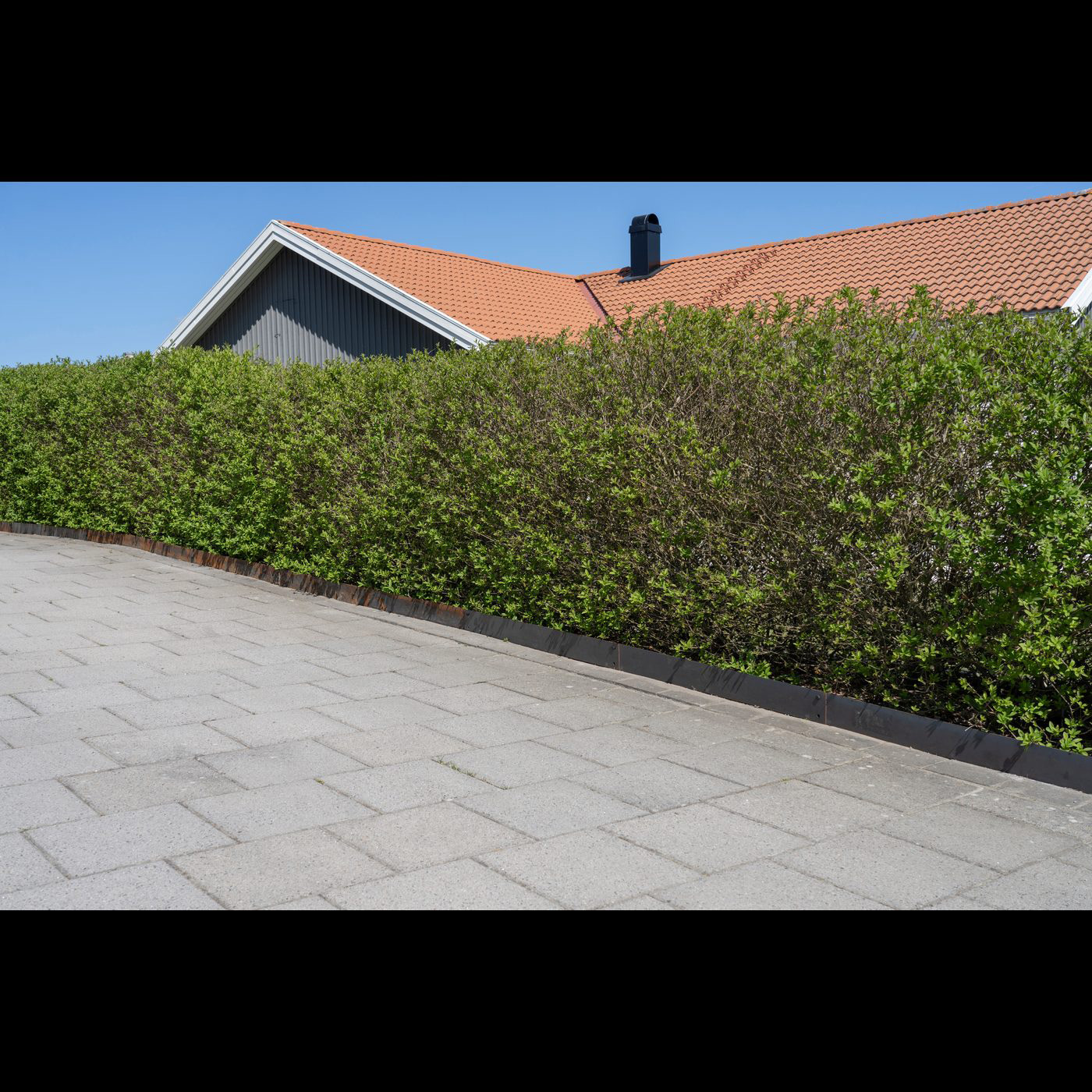 Kantbeskyttelse Skotte Garden 18x100 cm 4-pk