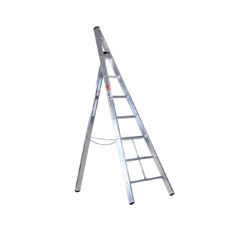 Frukt og Beskjæringstrapp Svelt