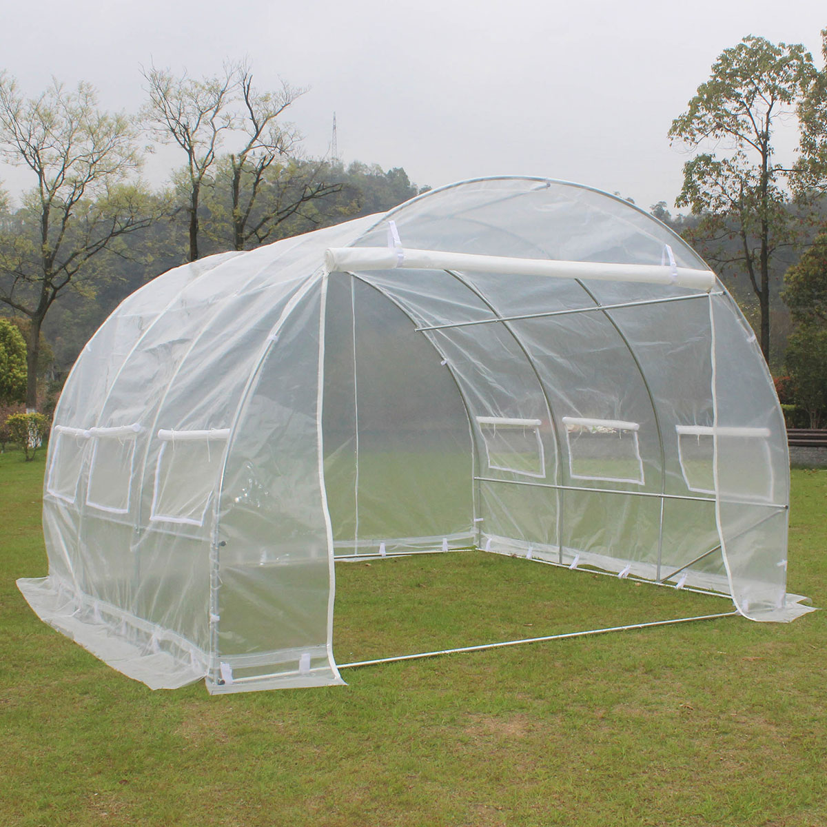 Tunnelväxthus 9m2-PE Transparent Transparent