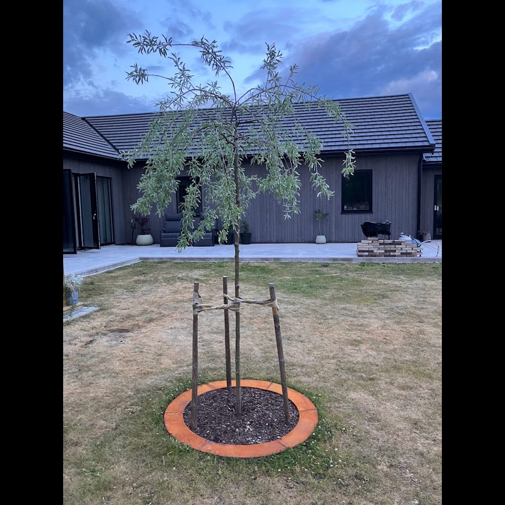 Rabattkant Skotte Garden Unik Rund 2-pk