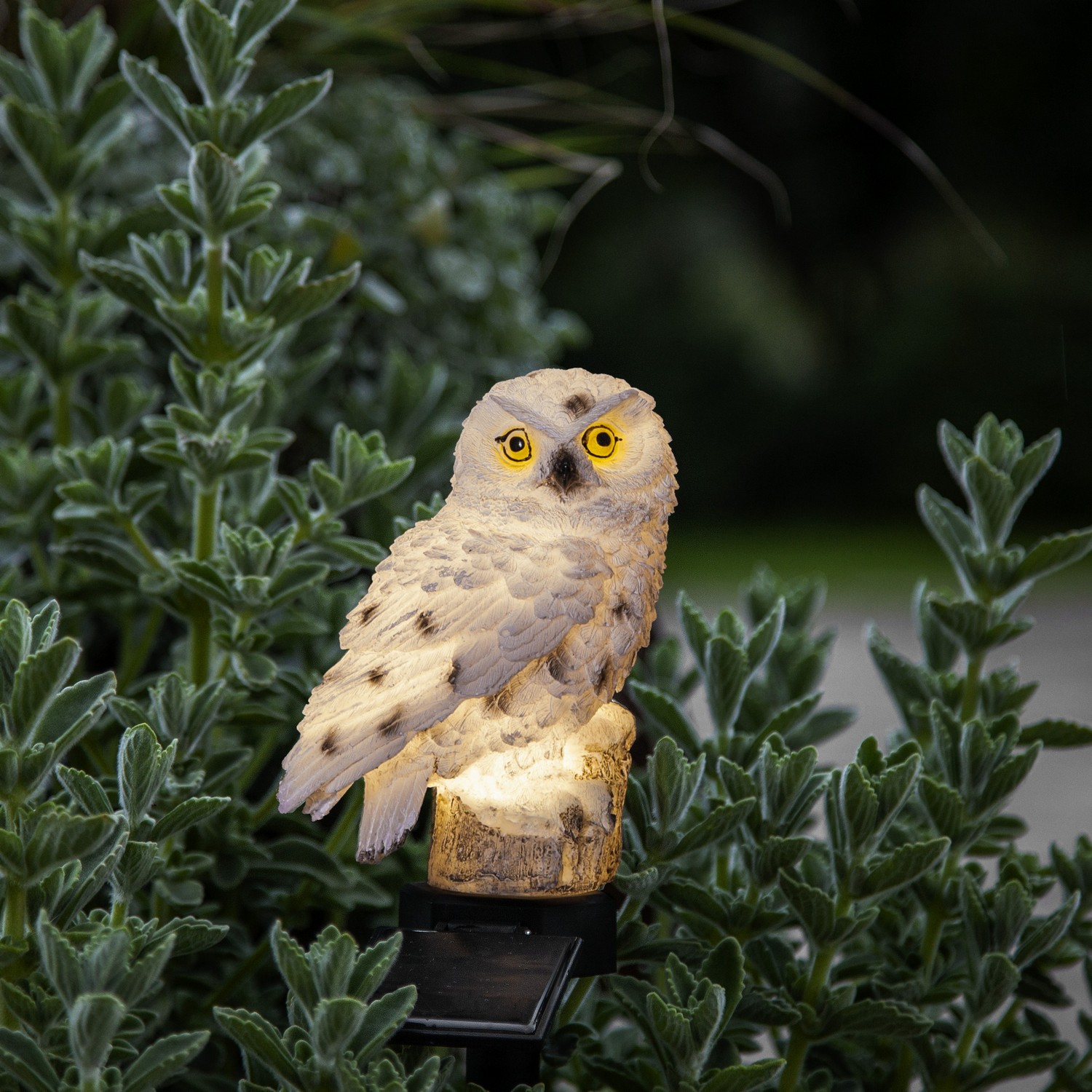 Solcelledekorasjon Star Trading Owl LED Solcellelampe