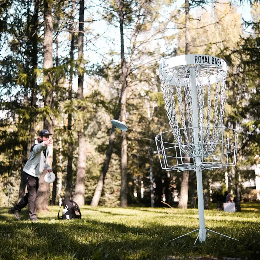 Frisbeegolfkurv Viking Discs Royal Basket