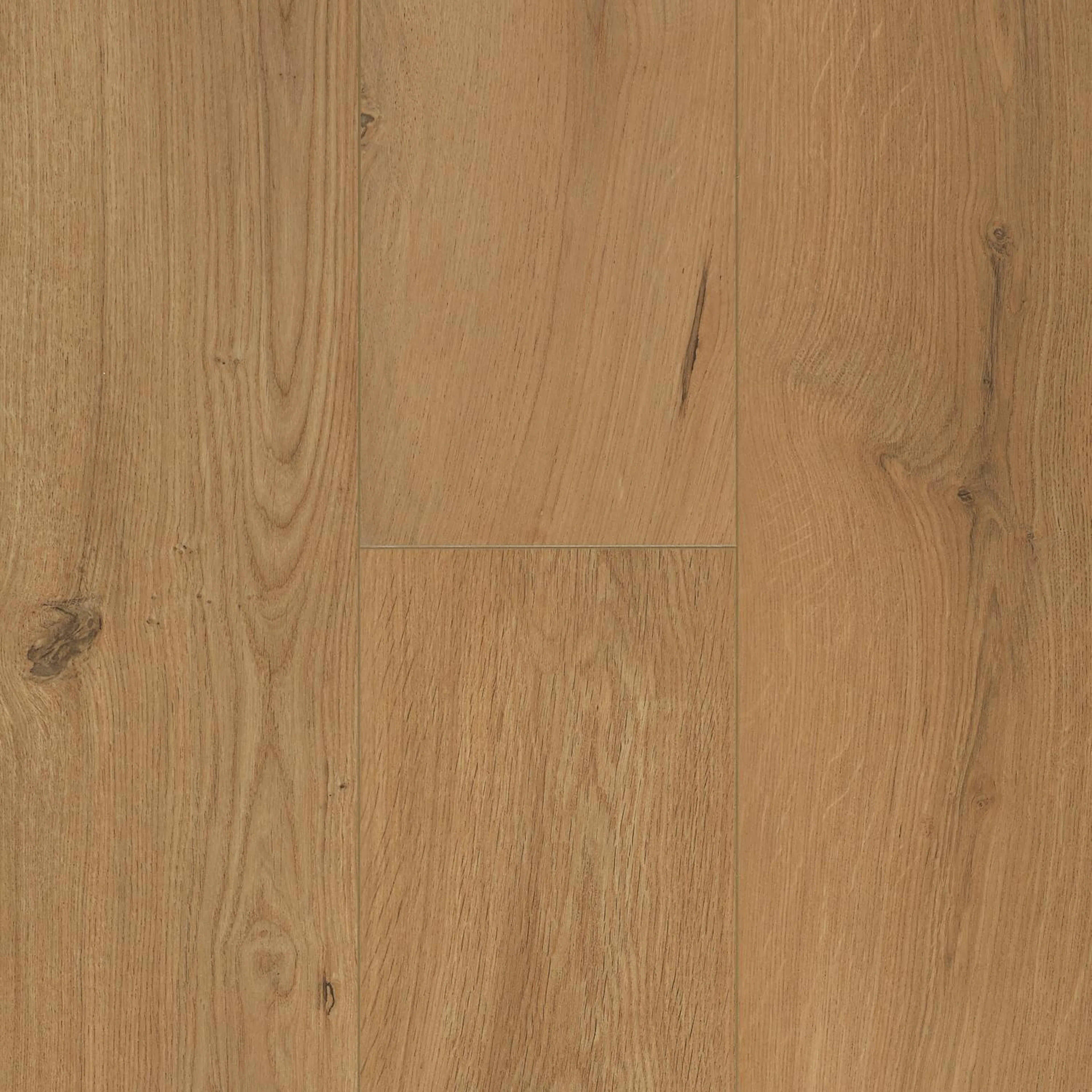 Laminatgulv BerryAlloc Ocean 12 V4 Gyant Warm Natural