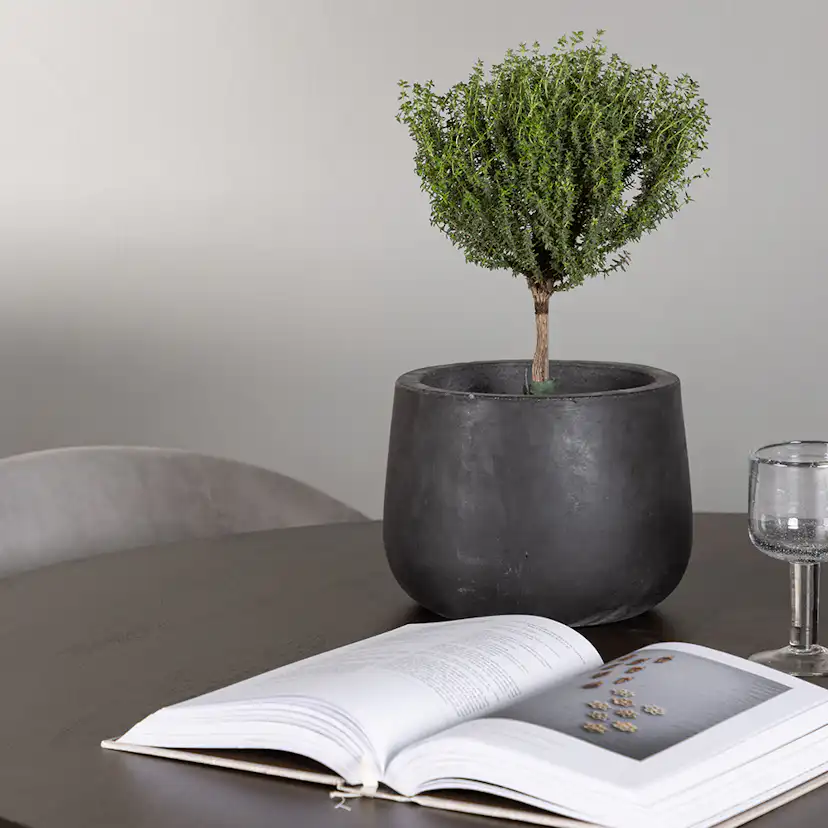 Spisegruppe Venture Home Kaseidon Ø100 cm med 4 stk Evelina Stoler
