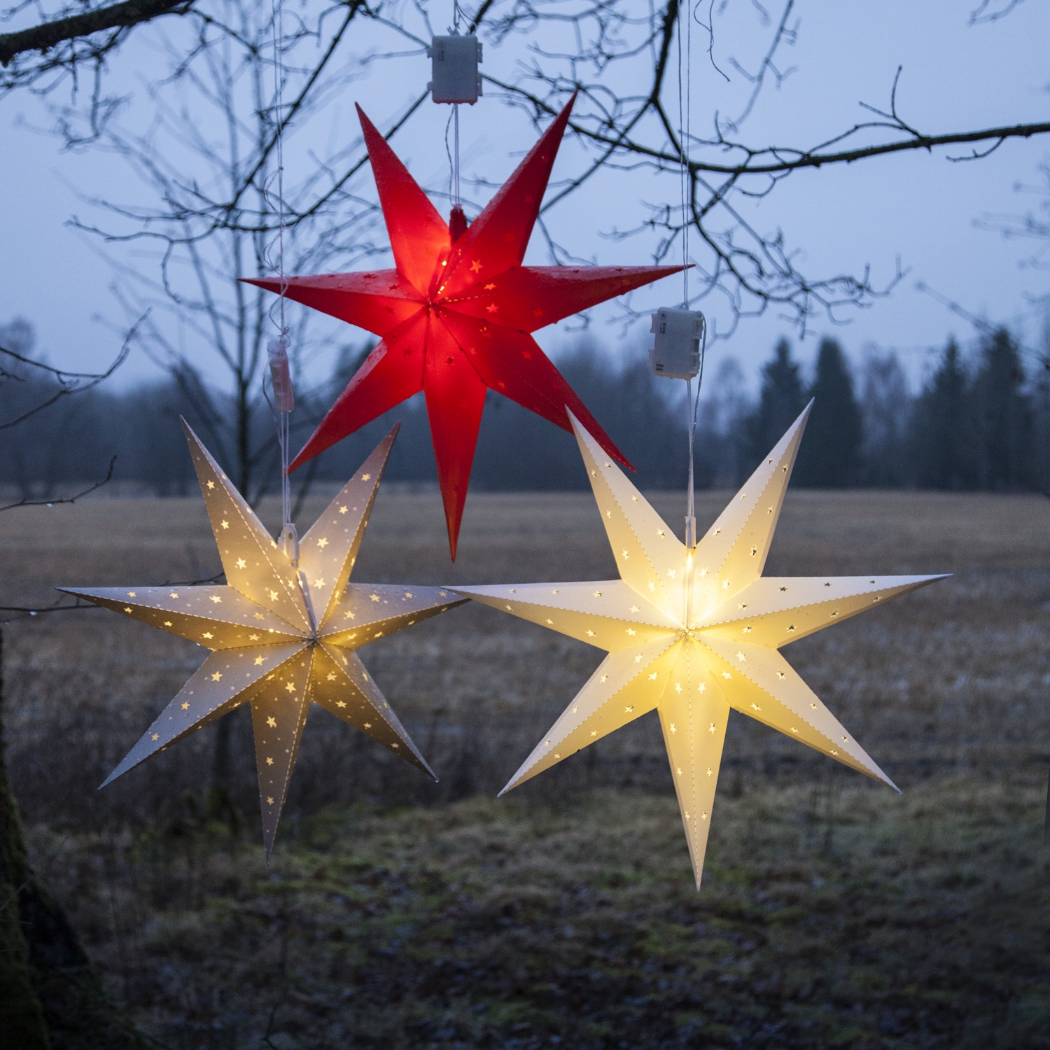 Adventsstjerne Star Trading Alice
