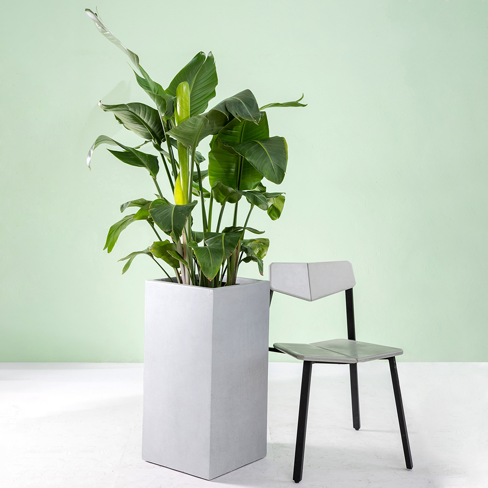 Krukke Lyfco Firkantet Høy Lysgrå