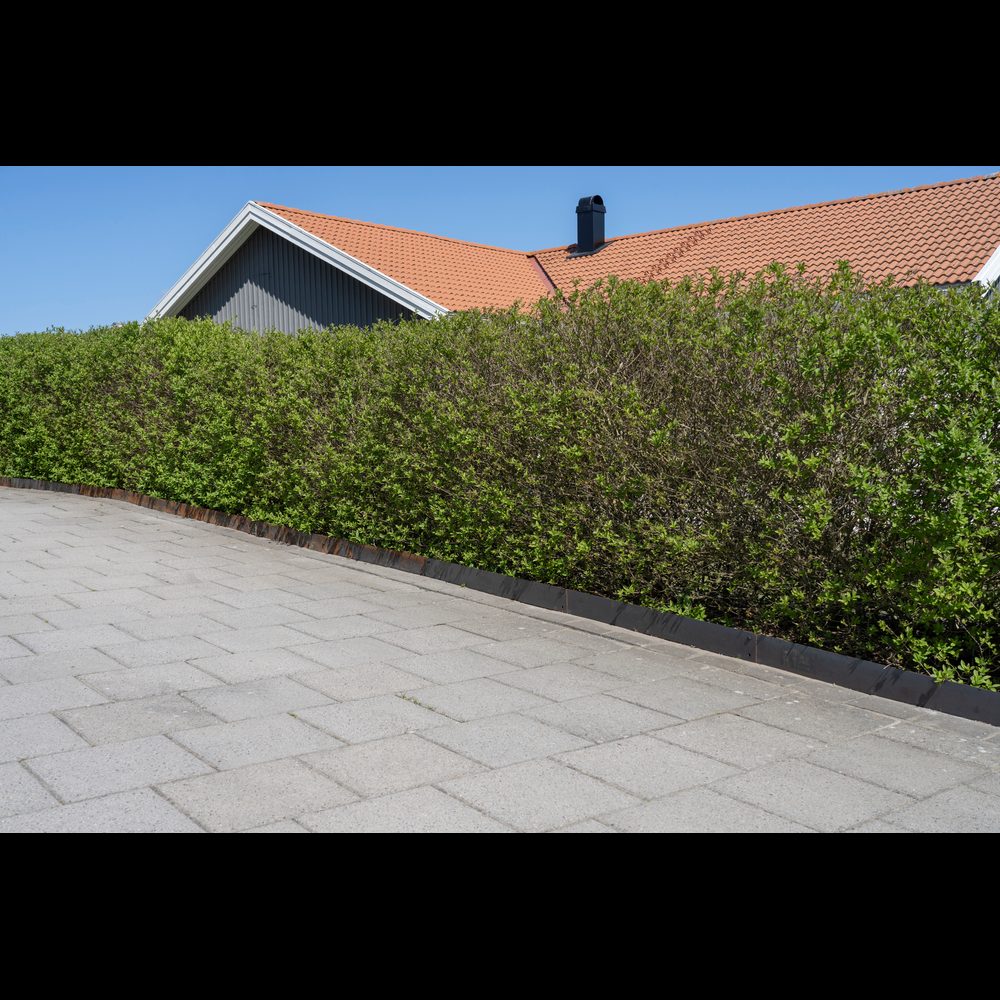 Rabattkant Skotte Garden 110 cm 4-pk