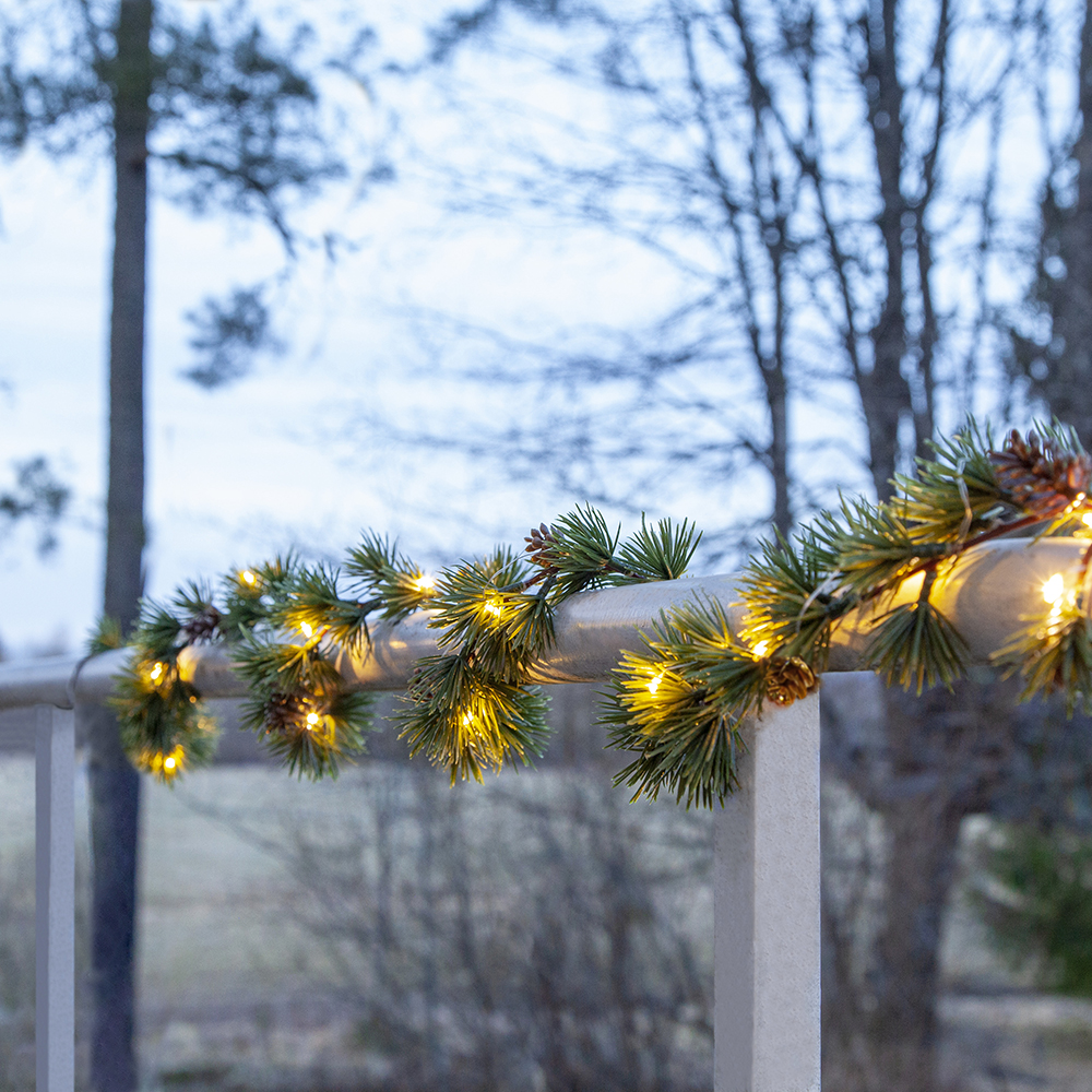 Grangirlander Star Trading Larix