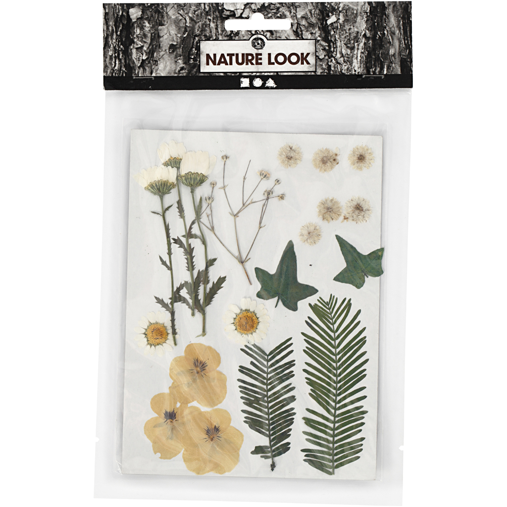 Tørkede Creativ Company Blomster og Blader Råhvit 19 Mix/1 Pk