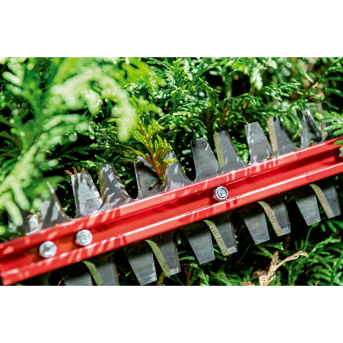 Hekksaks Metabo HS 18 LTX BL 55 CB uten Batteri og Lader