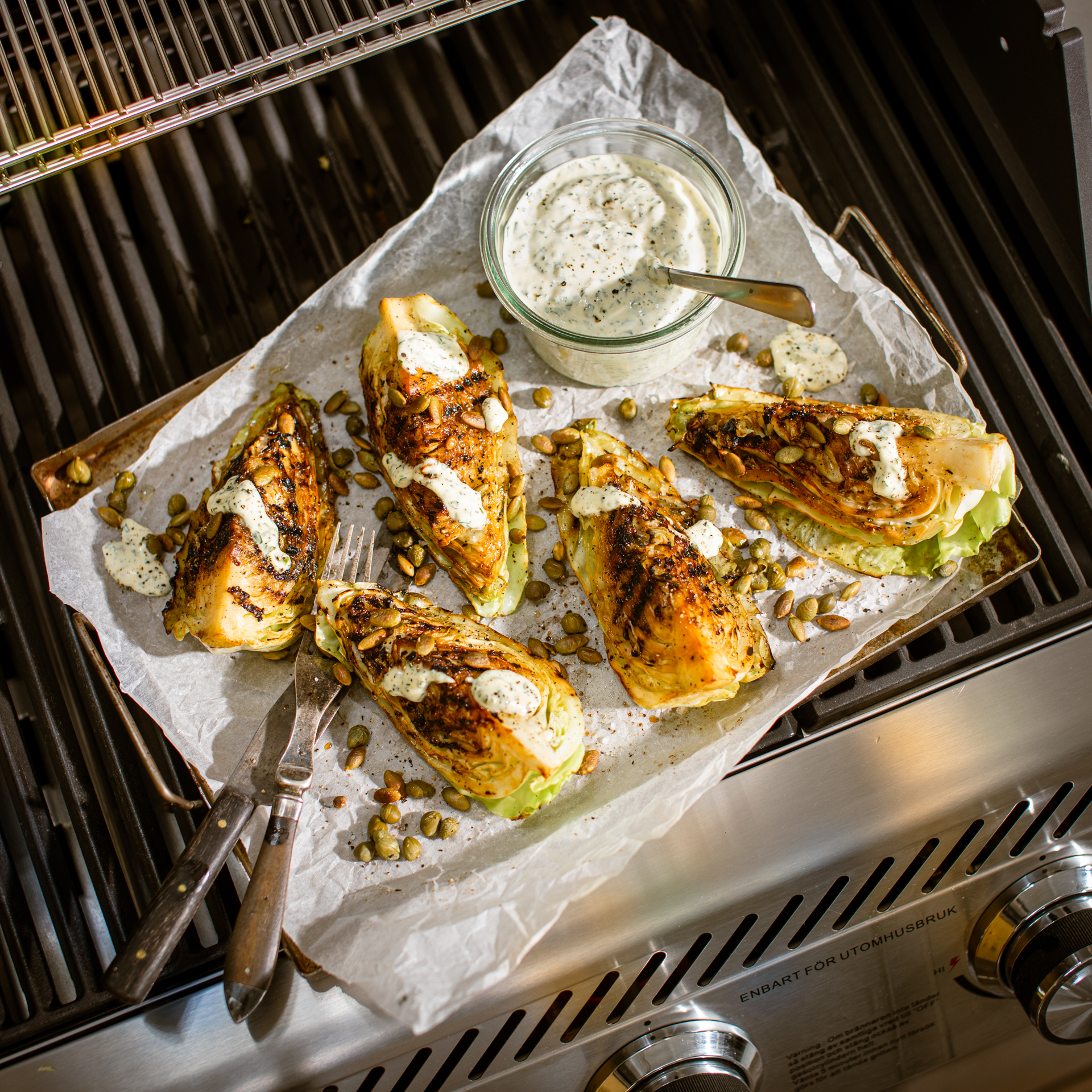 Gassgrill Bluegaz X-1