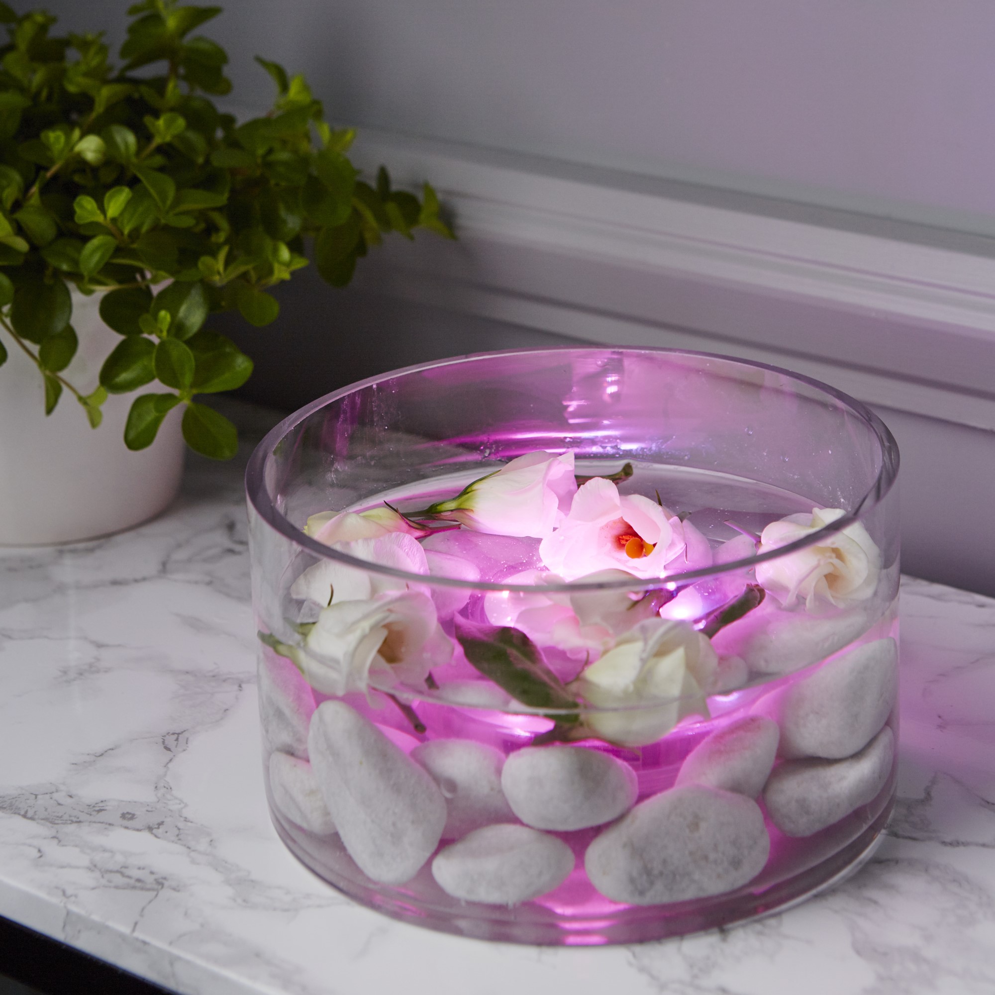 LED-Lys Star Trading Water Candle
