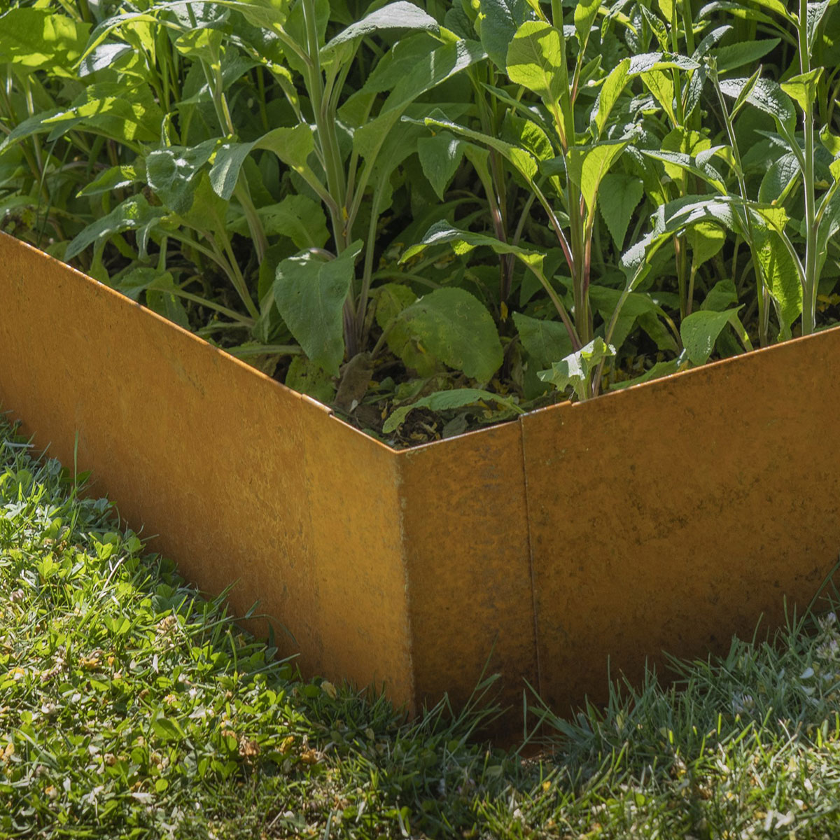 Vinkel Skotte Garden for Kantbeskyttelse 26x100 och 26x200 cm 4-pk