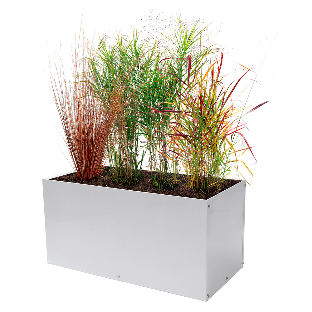 Plantekasse Skotte Garden