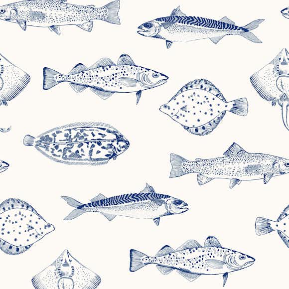 Tapet Joules Coast Blue