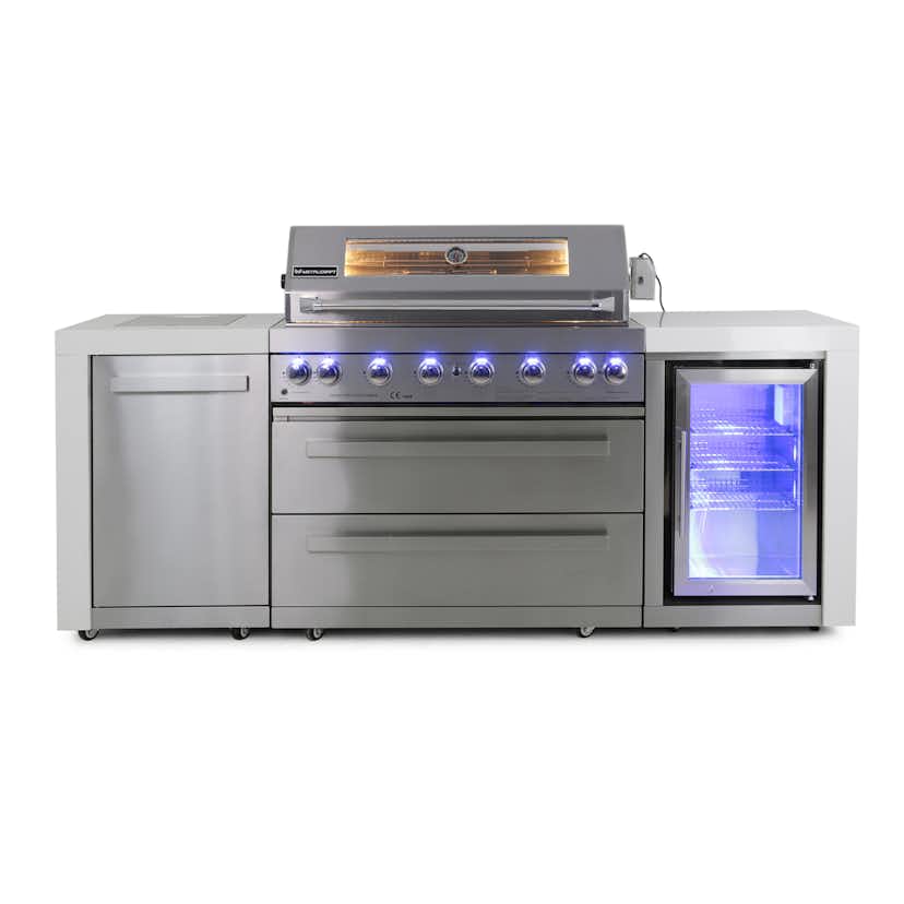 Stor rustfri gassgrill Austin