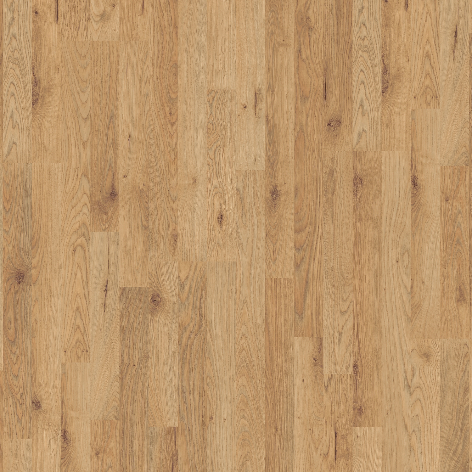 Laminatgulv Pergo Perstorp Classic Oak