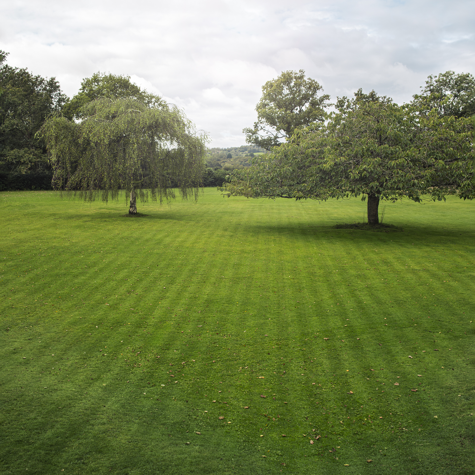 Robotgressklipper Husqvarna Automower® 310E NERA