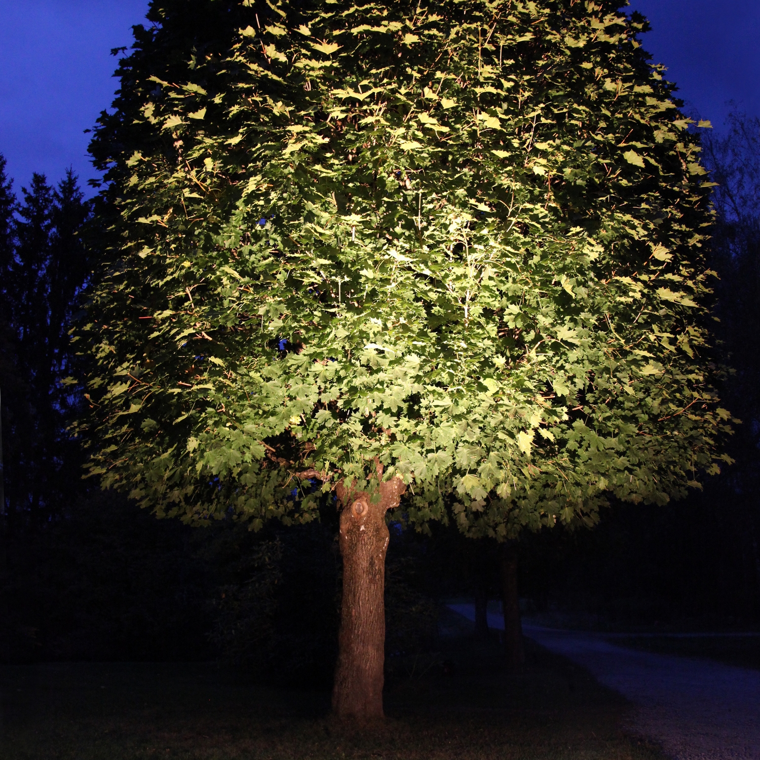 LED-Lampe Star Trading E27 PAR38 Spotlight Outdoor Sølv