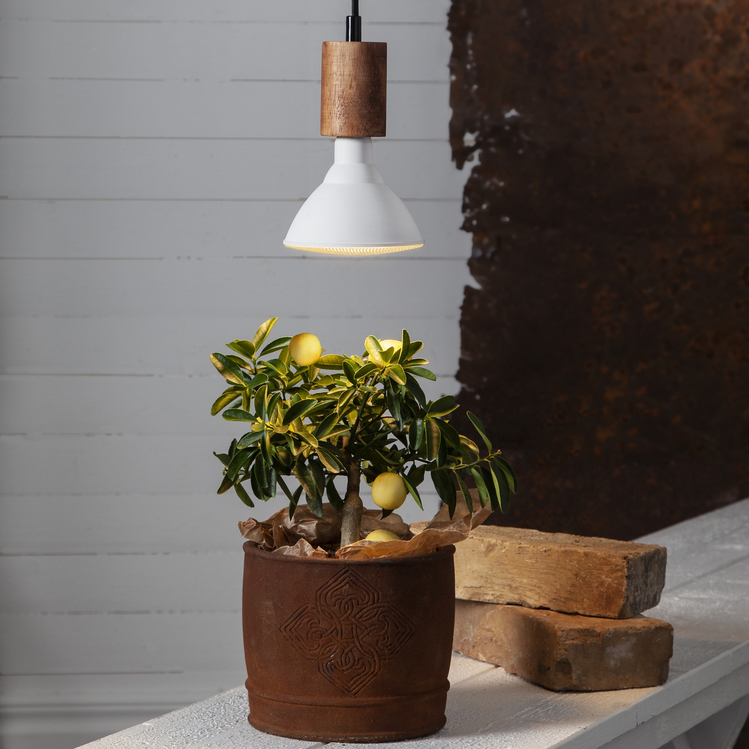 LED-Lampe Star Trading E27 PAR38 Plant Light Varmhvit