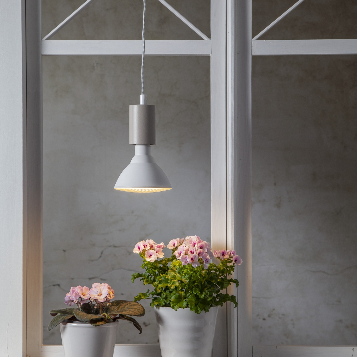 LED-Lampe Star Trading E27 PAR38 Plant Light Varmhvit