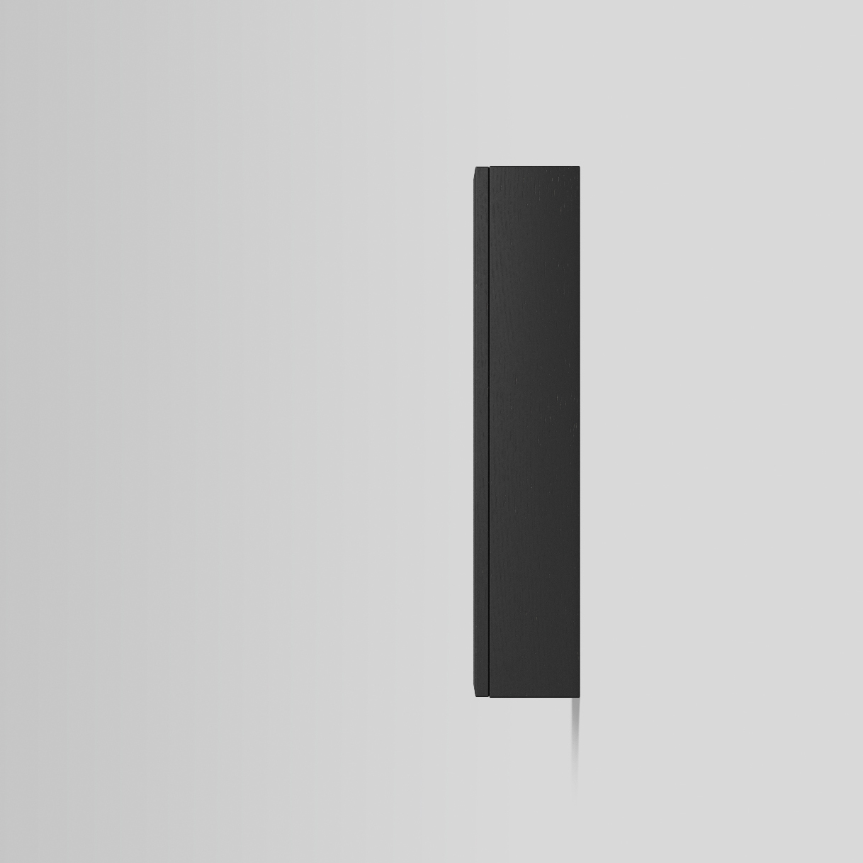 Väggskåp INR Solid 40/15