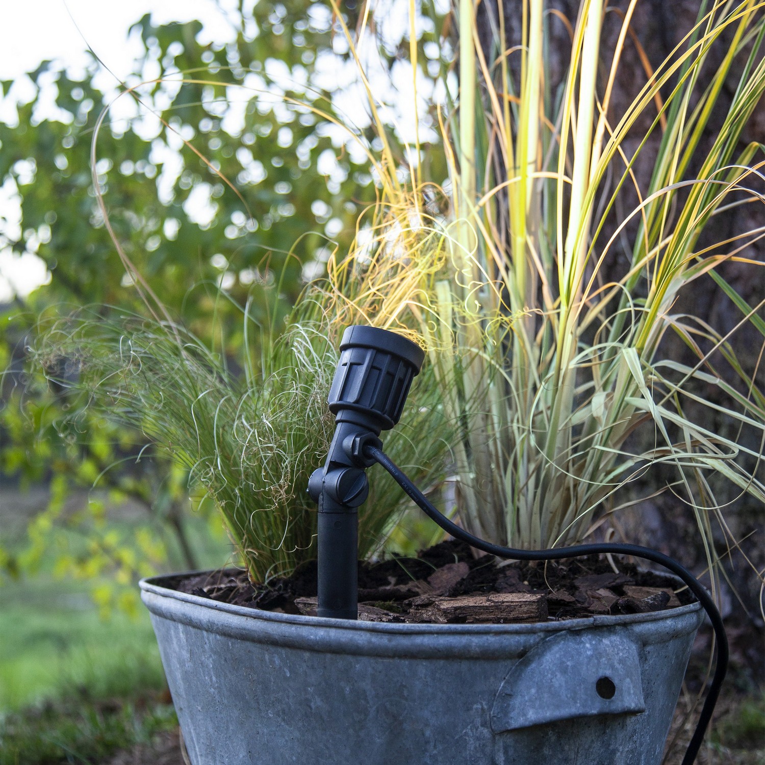 Utepynt Star Trading Utendørs LED-spotlight