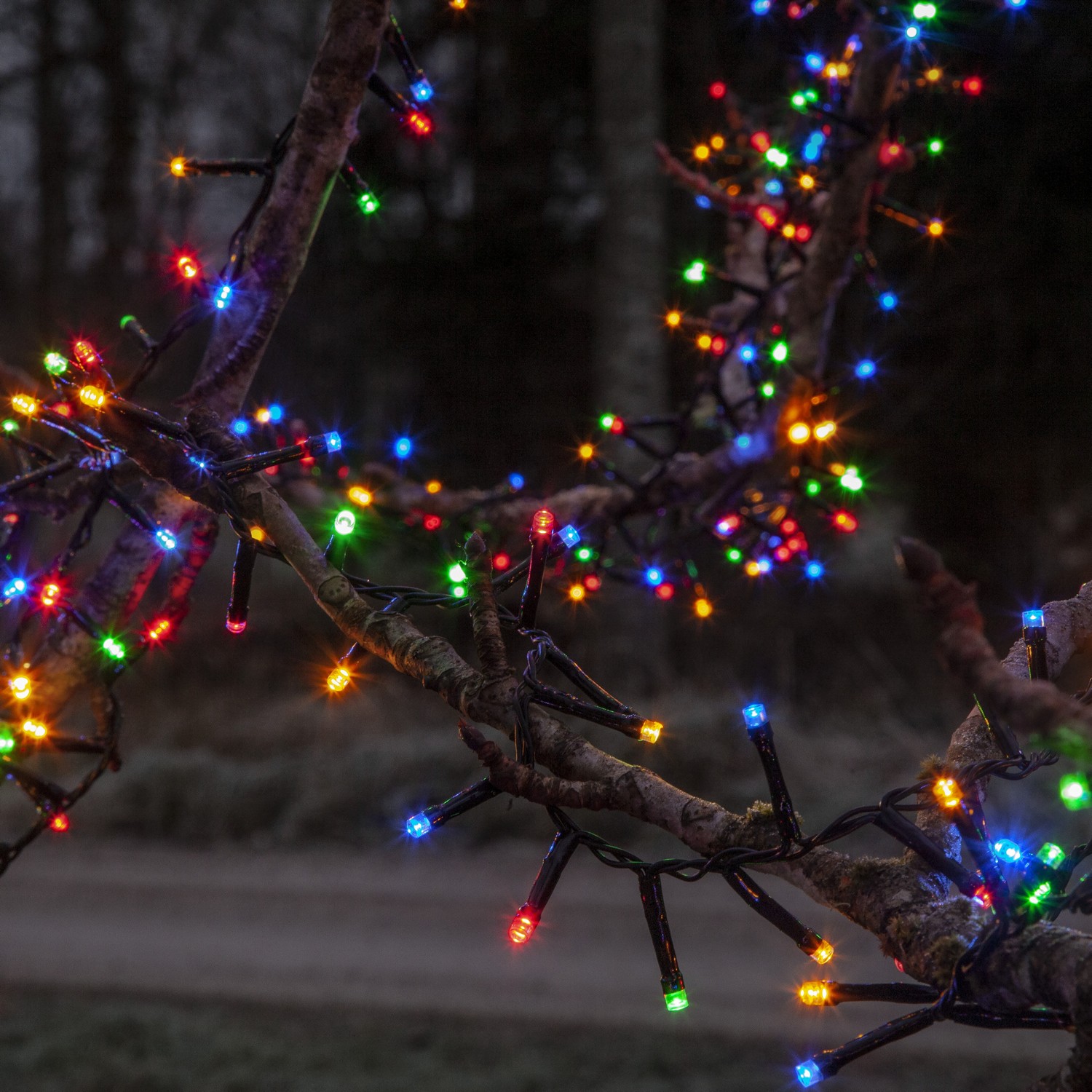 Lyslenke Star Trading Flashy