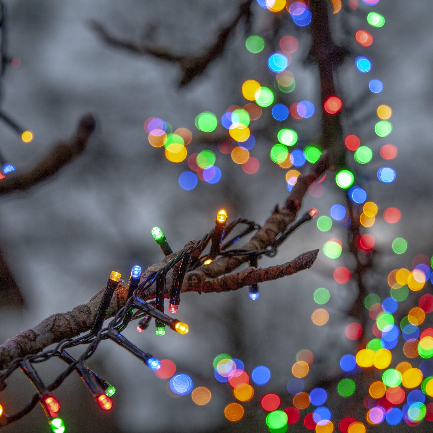 Lyslenke Star Trading Flashy