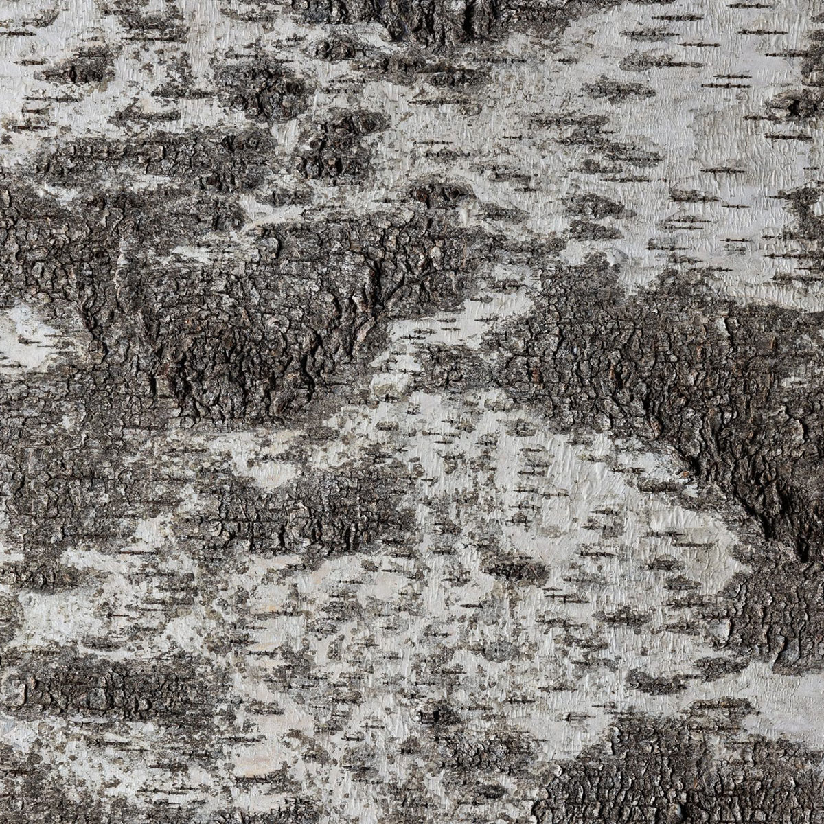 Veggpanel Emotionwood Birch 600