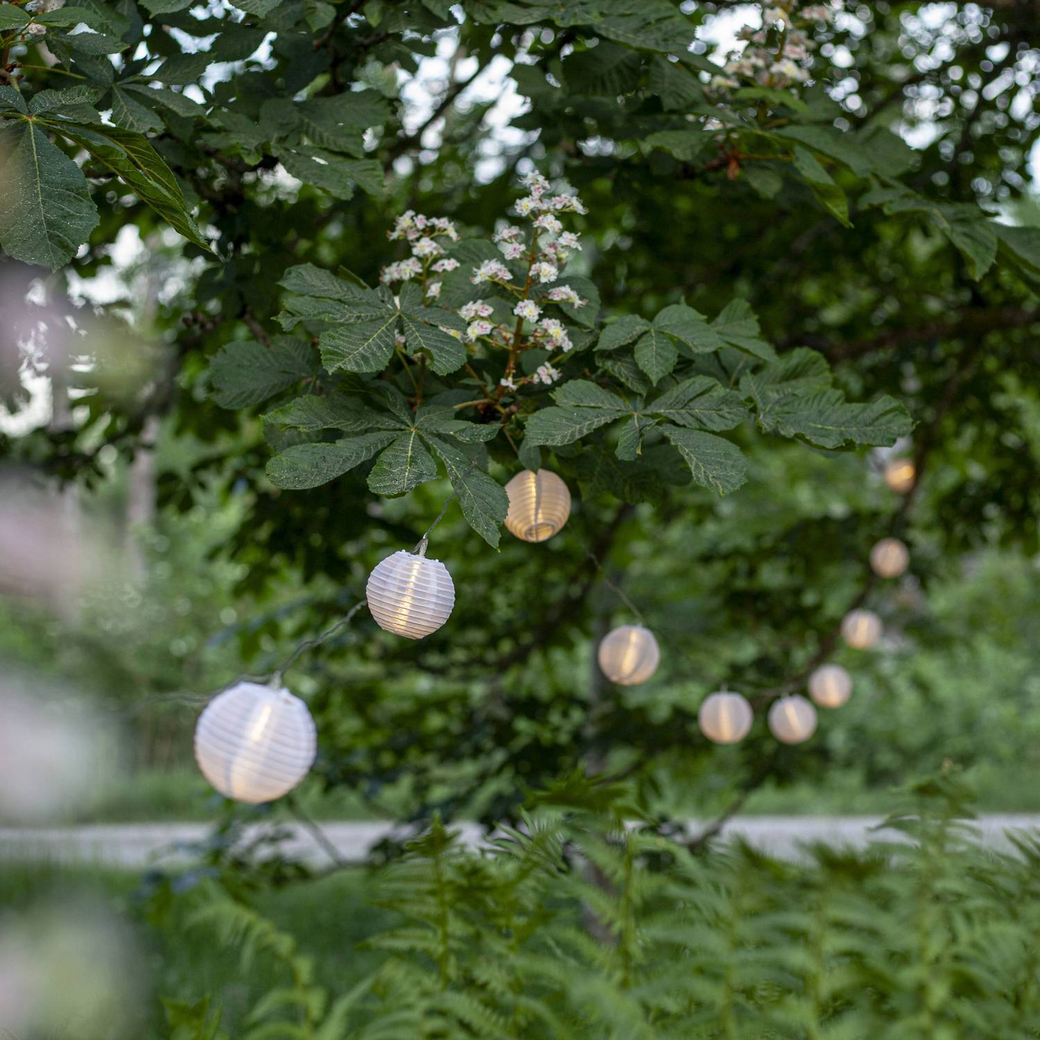 Lyslenke Star Trading Festival 10st LED-Lyskilder