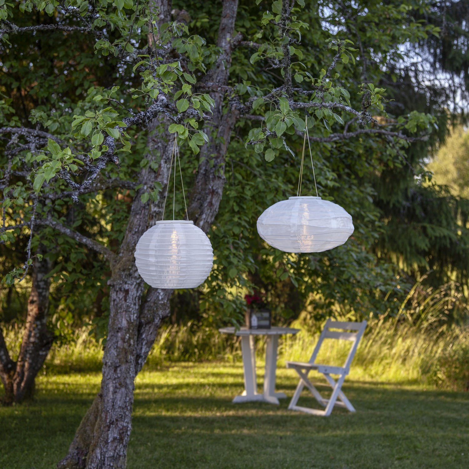 Solcelledekorasjon Star Trading Festival 25 cm Hvit